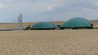 Bild: greenValue geht neue Wege?