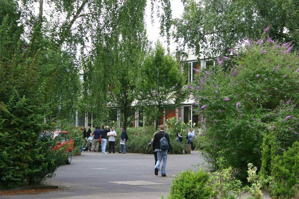 Rheinische Akademie informiert Weiterbildung zum staatlich