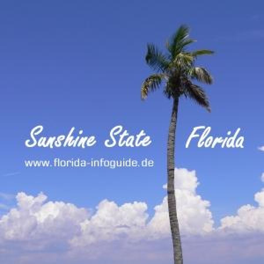 Wie Viel Kostet Ein Flug Nach Florida Günstige Flüge nach Florida buchen - openPR