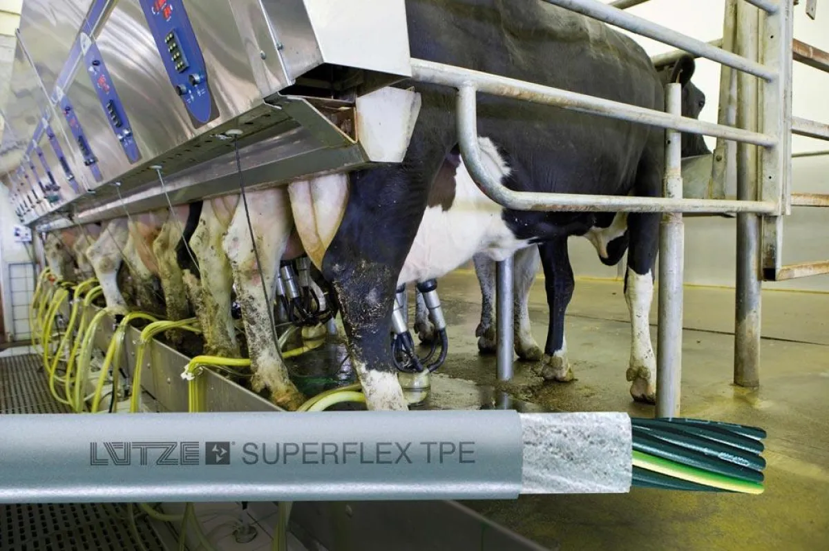 LÜTZE SUPERFLEX® TPE Schleppkettenleitung