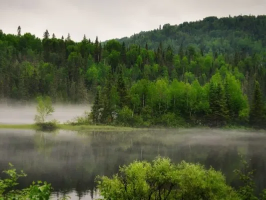 CollectiveCrunch und die Oregon State University evaluieren neue Ansätze in der Waldkohlenstoffinventur Bild: CollectiveCrunch und die Oregon State University evaluieren neue Ansätze in der Waldkohlenstoffinventur