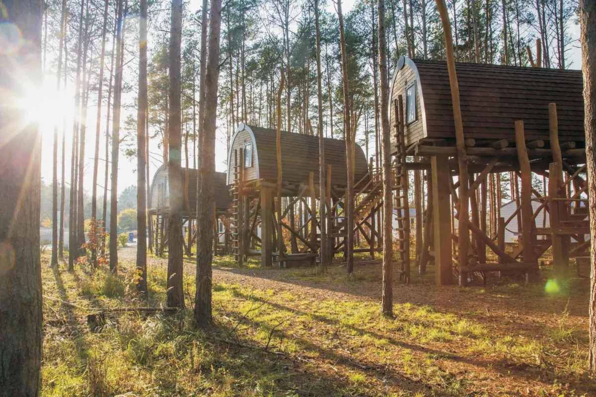 Baumhäuser am Senftenberger See. Foto: Harry Müller