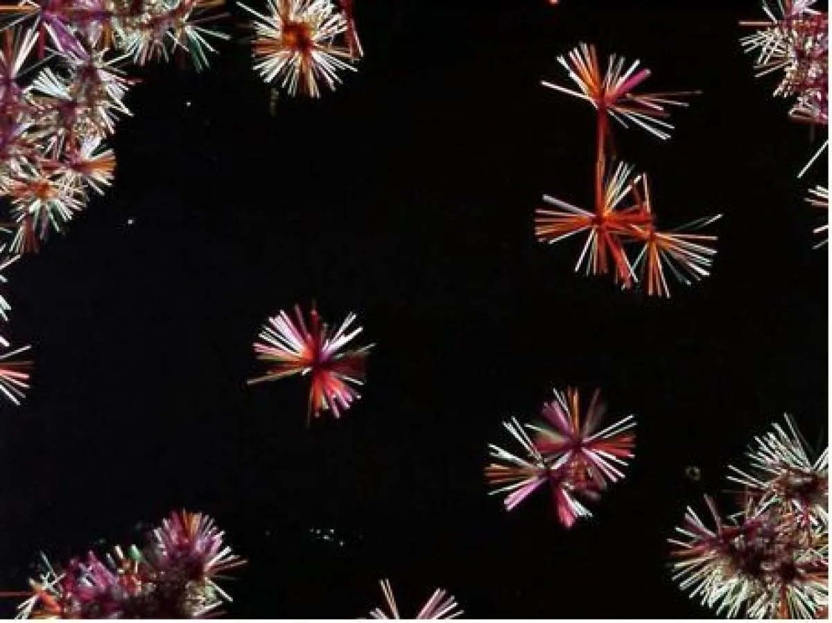 ETH Zürich, Polymer Technology