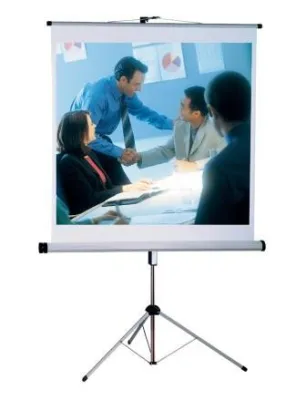 Für jede Anwendung die richtige Leinwand - bei beamerandmore.de Bild: Für jede Anwendung die richtige Leinwand - bei beamerandmore.de