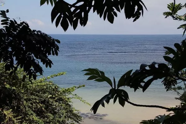 Bild: Auch im Sommer drei Direktflüge nach Jamaika