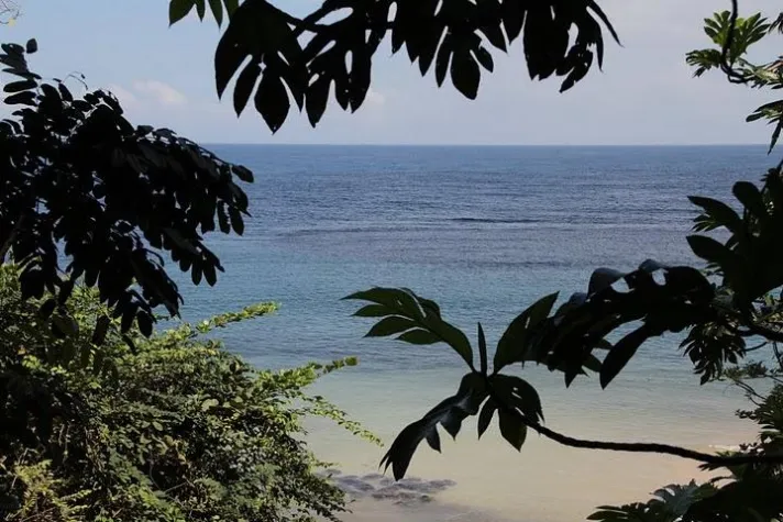 Bild: Auch im Sommer drei Direktflüge nach Jamaika