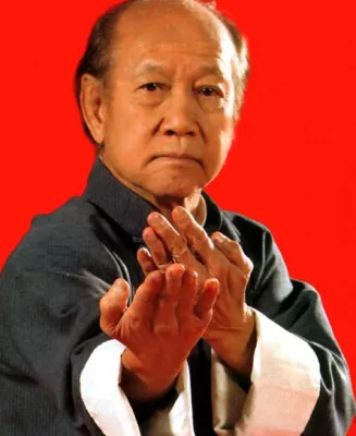 Bild: Der Meister des Wing Chun Kung Fu besucht Berlin - rechtzeitig zur Kirschblüte