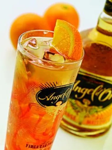 NEU: Angel’s Best ist der Signature Drink des mallorquinischen Orangenlikörs Angel d’Or Bild: NEU: Angel’s Best ist der Signature Drink des mallorquinischen Orangenlikörs Angel d’Or