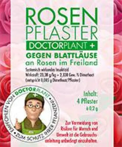 Bild: Blattlaus-Alarm an Rosen – effektive Behandlung mit dem DoctorPlant Rosenpflaster
