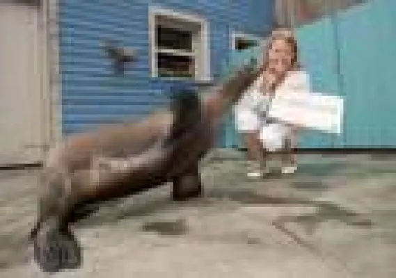 Bild: Yukon Bay macht Erlebnis-Zoo Hannover zum Millionär