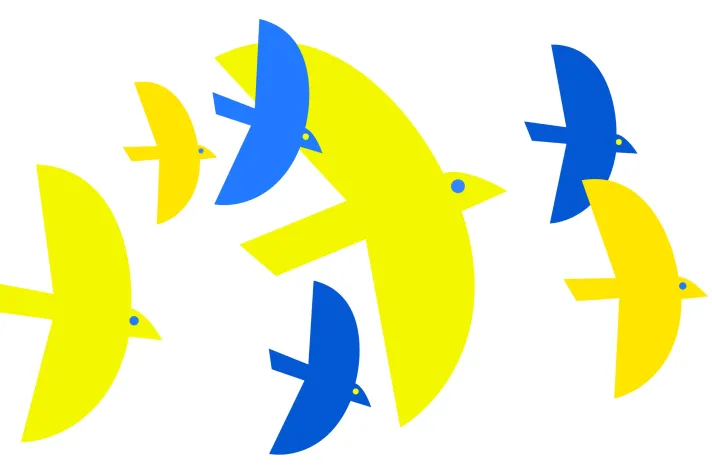 Zwischen Panik und Plan Bild: Zwischen Panik und Plan