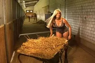 Bild: 2010 wird heiß: Die Topmodells der Landwirtschaft auf der Agritechnica bei AgrarVideo