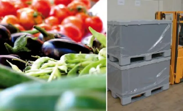 Bild: Nachhaltige Mehrweg-Lösungen für den Transport von Obst und Gemüse