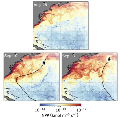 Tropische Wirbelstürme und der Kohlenstoffkreislauf: Neue Erkenntnisse aus einer Modellsimulation Bild: Tropische Wirbelstürme und der Kohlenstoffkreislauf: Neue Erkenntnisse aus einer Modellsimulation