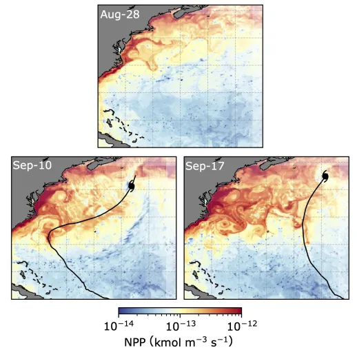 Bild: Tropische Wirbelstürme und der Kohlenstoffkreislauf: Neue Erkenntnisse aus einer Modellsimulation