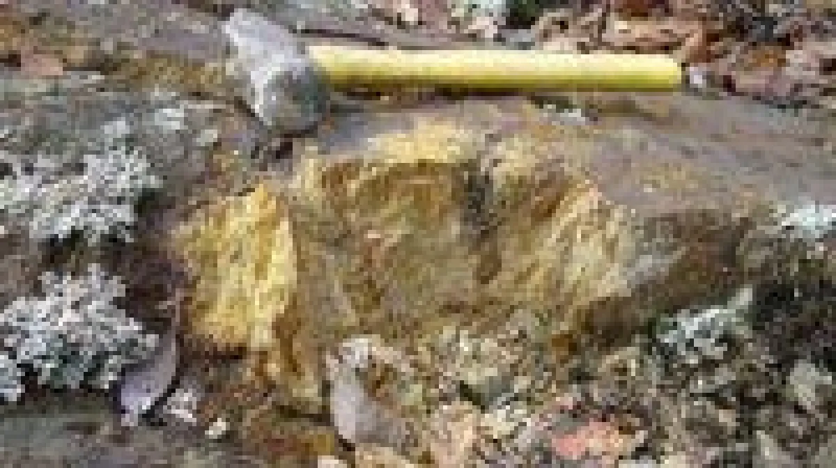 Quelle: Maple Gold Mines