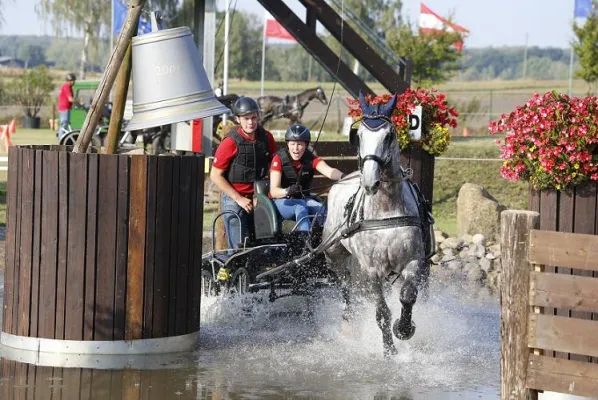 Bild: Deutsche Meisterschaften im Fahren: Die besten Einspänner Deutschlands messen sich in Schildau
