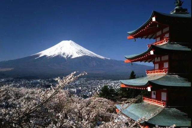 Bild: Neues aus Japan
