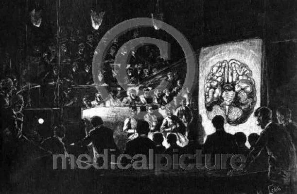 Bild: Neues zum Thema Bildrechte