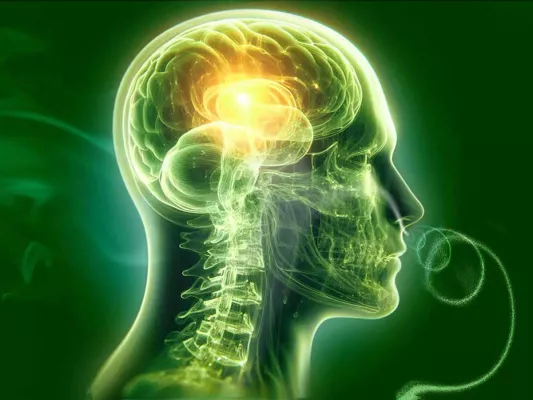 Bild: Brain Fog – Ein oft vernachlässigtes Gesundheitsproblem erfordert neue Ansätze