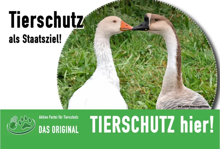 Bild: Presseerklärung Tierschutz hier! – DAS ORIGINAL vom 21.03.2019