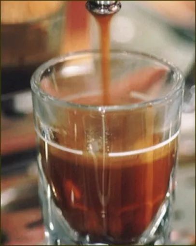 Bild: Wissen macht Genuß: Kaffee-Seminare aus dem Hause Lethe