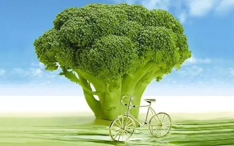 Bild: Brokkoli steht auf Platz eins der zehn Gemüse