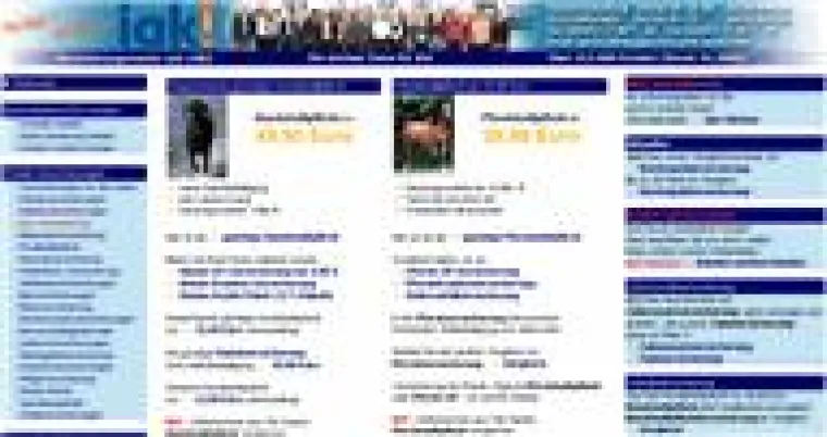 Bild: Hundehaftpflicht – im Alter günstiger