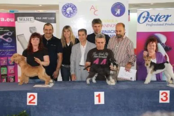 Bild: Europameisterschaft der Hundefriseure in Girona /Spanien - Thüringerin mit Doppelerfolg