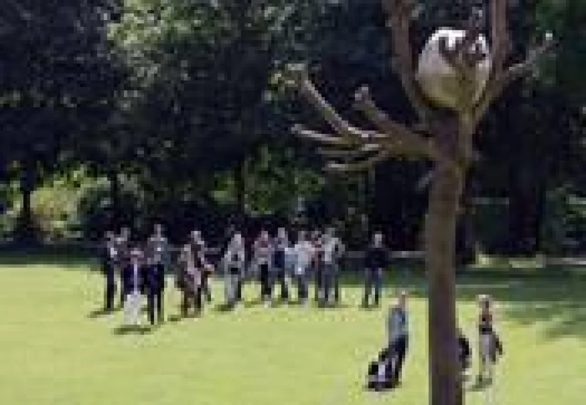 SchülerInnen des Kasseler Jugendsymposions auf der dOCUMENTA im Juni 2012