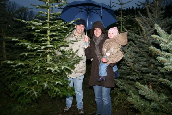 Bild: Firmenevent Weihnachtsbaumschlagen auf dem Gutshof