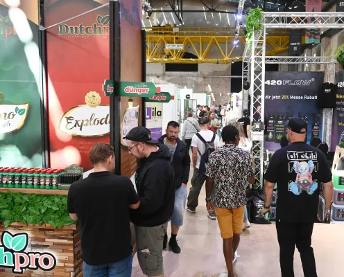 Bild: CannaFriends 2026: Die Vielfalt der Hanfpflanze erleben – in der Gebläsehalle Ilsede
