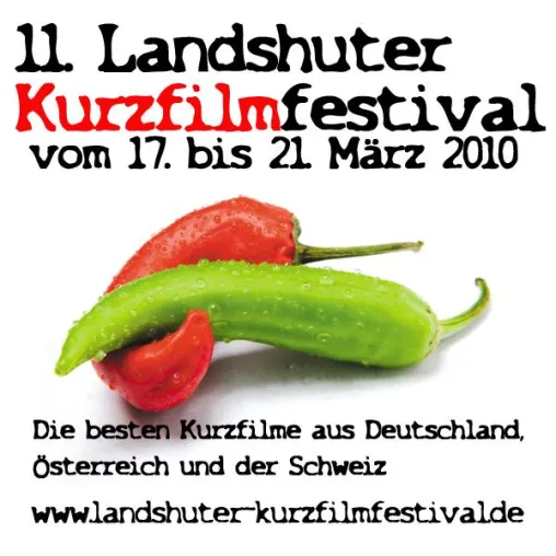Bild: 11. Landshuter Kurzfilmfestival vom 17. bis 21. März 2010