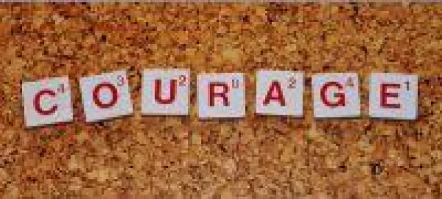 Bild: Haben wir die Politiker, die wir verdienen?