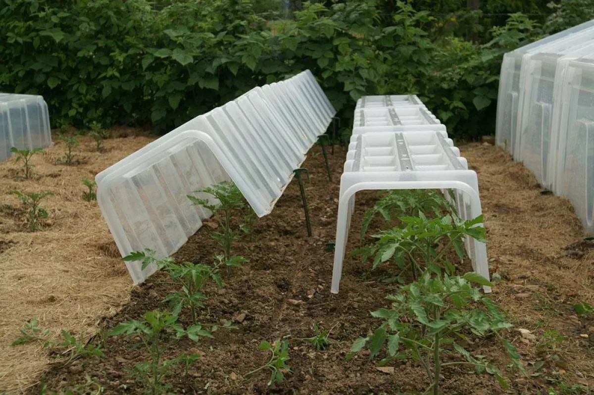Gutes Klima für junge Pflanzungen: Die POUSS’VERT - Tunnel haben eine Mikrolüftung und Behälter zur Aufnahme von Regen- oder Gießwasser.
