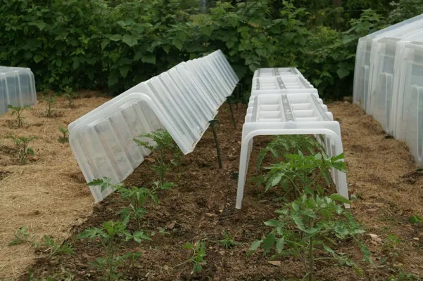 Bild: Pflanzenschutz auf die sanfte Art