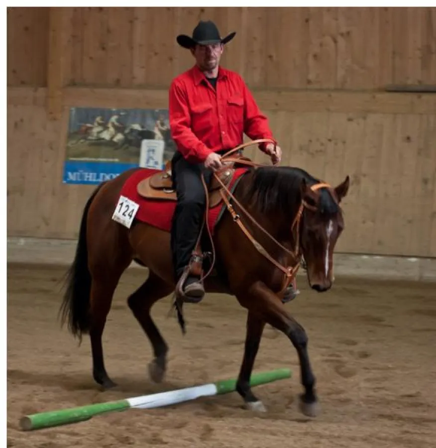 Westernreiten auf der Sherwood-Ranch im Bauernland Inn-Salzach