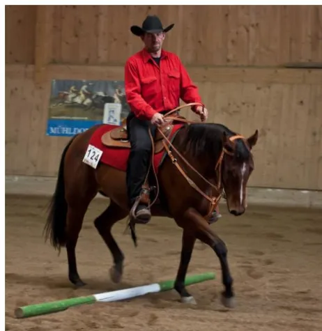 Bild: Western-Feeling im Bauernland