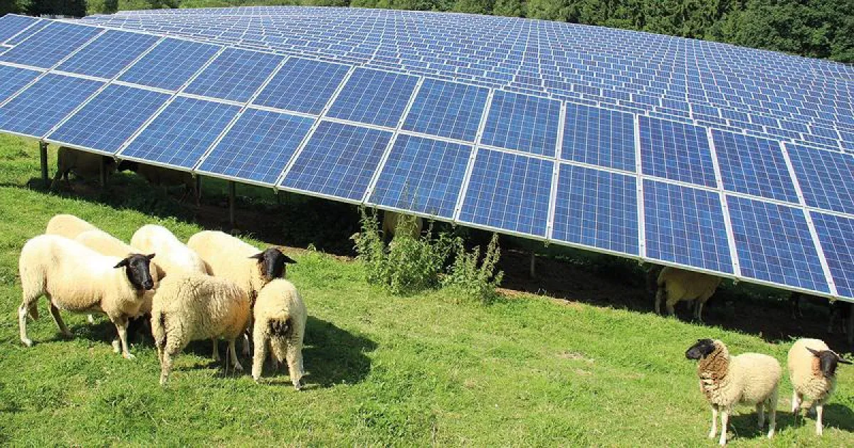 Der älteste Solarpark in Dietzhölztal lag im Mai 59% über Prognose.