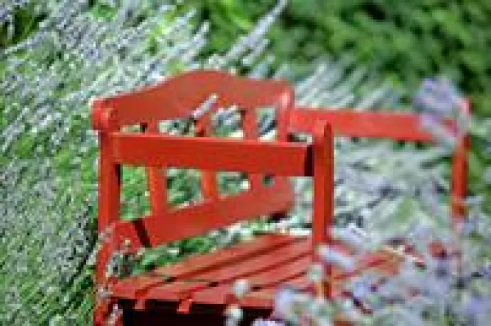 Frische-Kick für Gartenhölzer Bild: Frische-Kick für Gartenhölzer