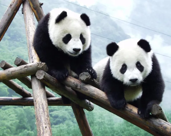 Klasse statt Konfektion - Stepin bietet für jeden Schüler das perfekte High School-Programm Bild: Klasse statt Konfektion - Stepin bietet für jeden Schüler das perfekte High School-Programm