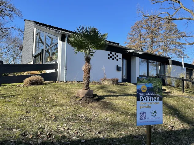 Bild: Auf die Palme gebracht ...