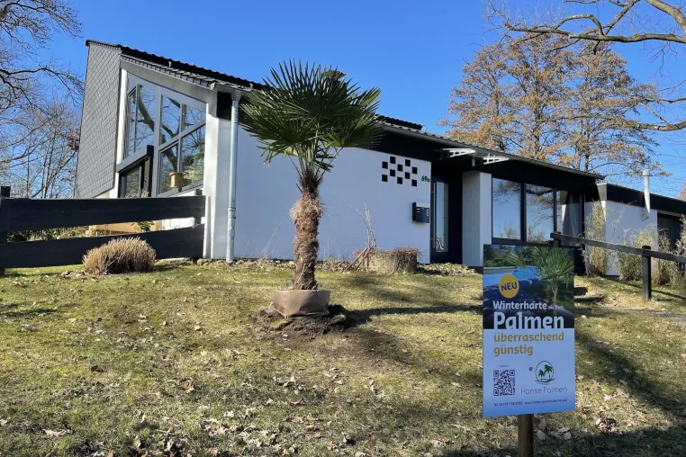 Bild: Auf die Palme gebracht ...