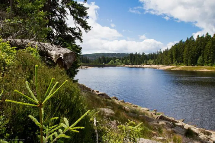 Bild: Fotokurs zum Verschenken