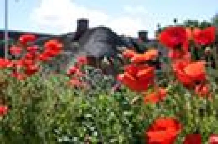 Schillerndes Sylt Bild: Schillerndes Sylt