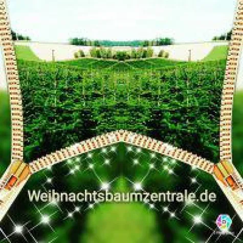 Bild: NH-Standards für Weihnachtsbaumplantagen