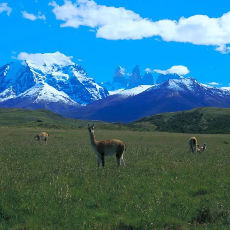 avenTOURa präsentert sein umfangreiches Portfolio für Reisen nach und in Lateinamerika