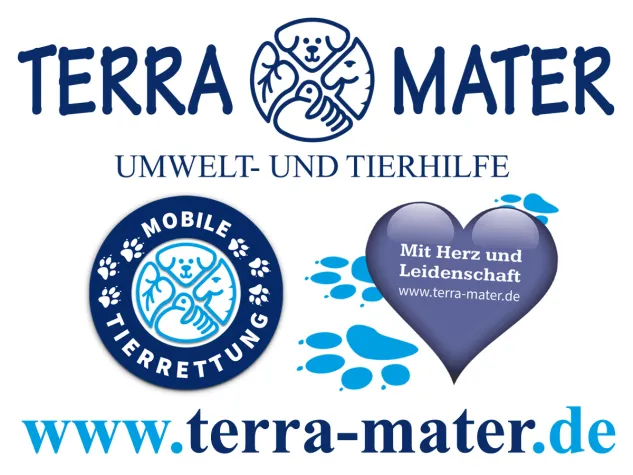 Bild: Tierschutz 2020 in Corona Zeiten - Der Tierschutzverein TERRA MATER e.V. Umwelt- und Tierhilfe berichtet