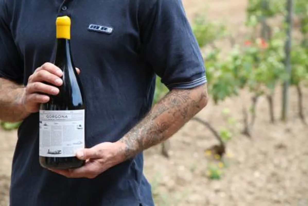 Gorgona Weißwein