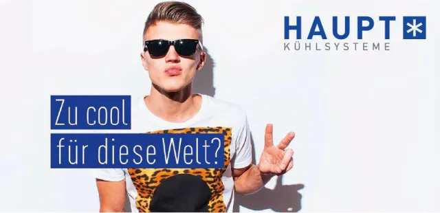 Bild: Cool inszeniert - amadeus relauncht Unternehmensauftritt der Walter Haupt GmbH